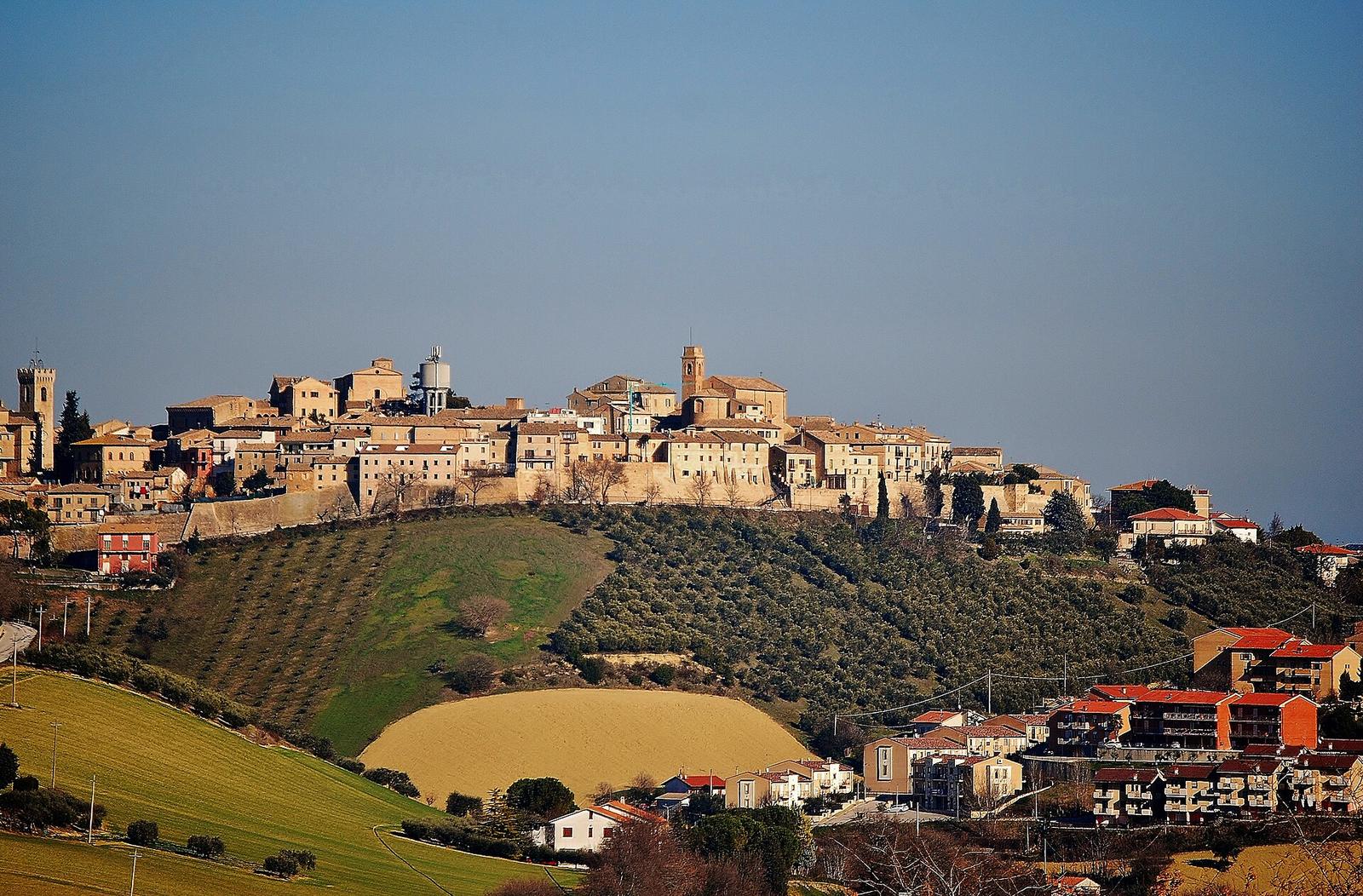 Montelupone sulla collina, con le mura e le case in mattoni sopra gli ulivi